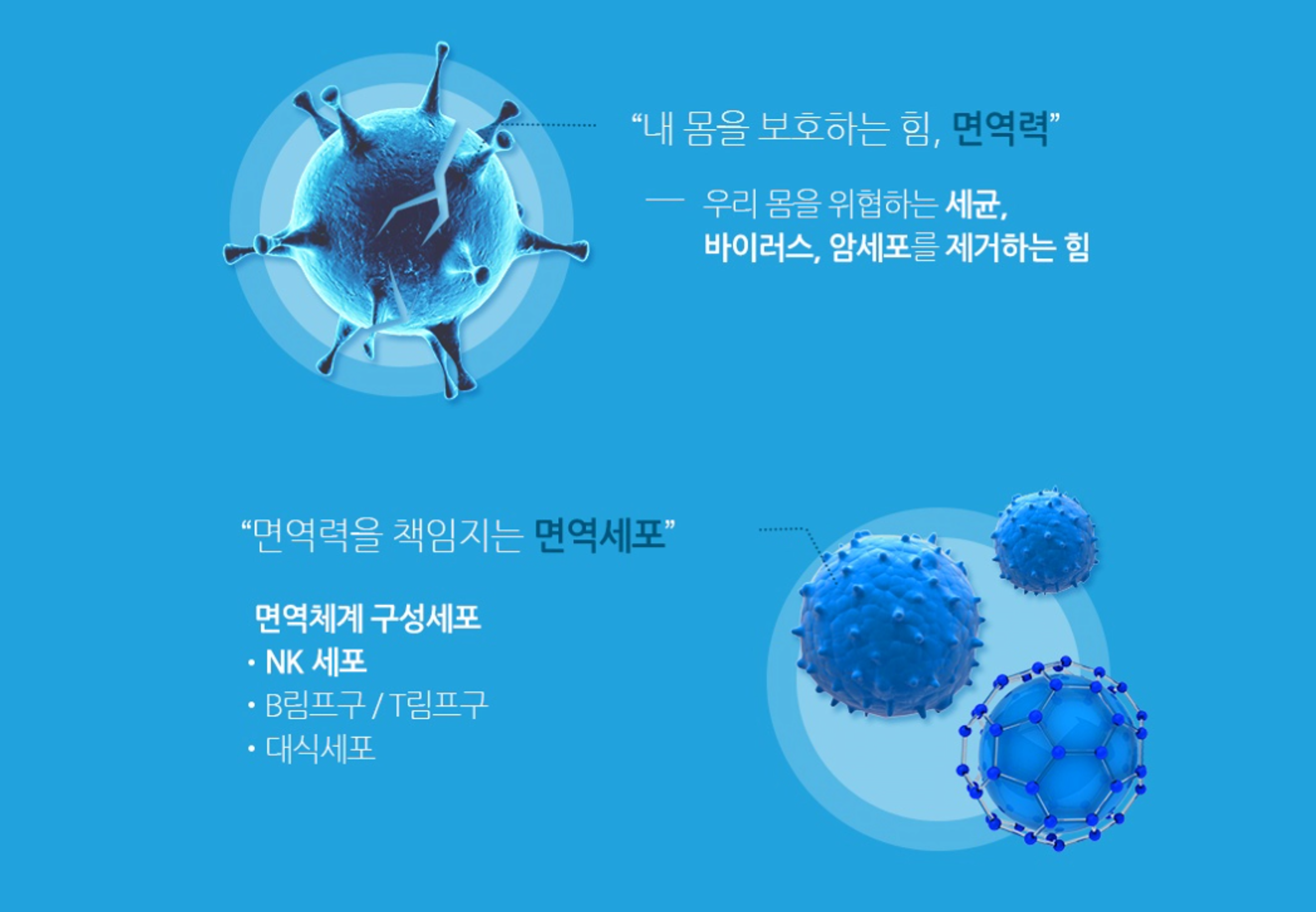 주얼리 전용 결제