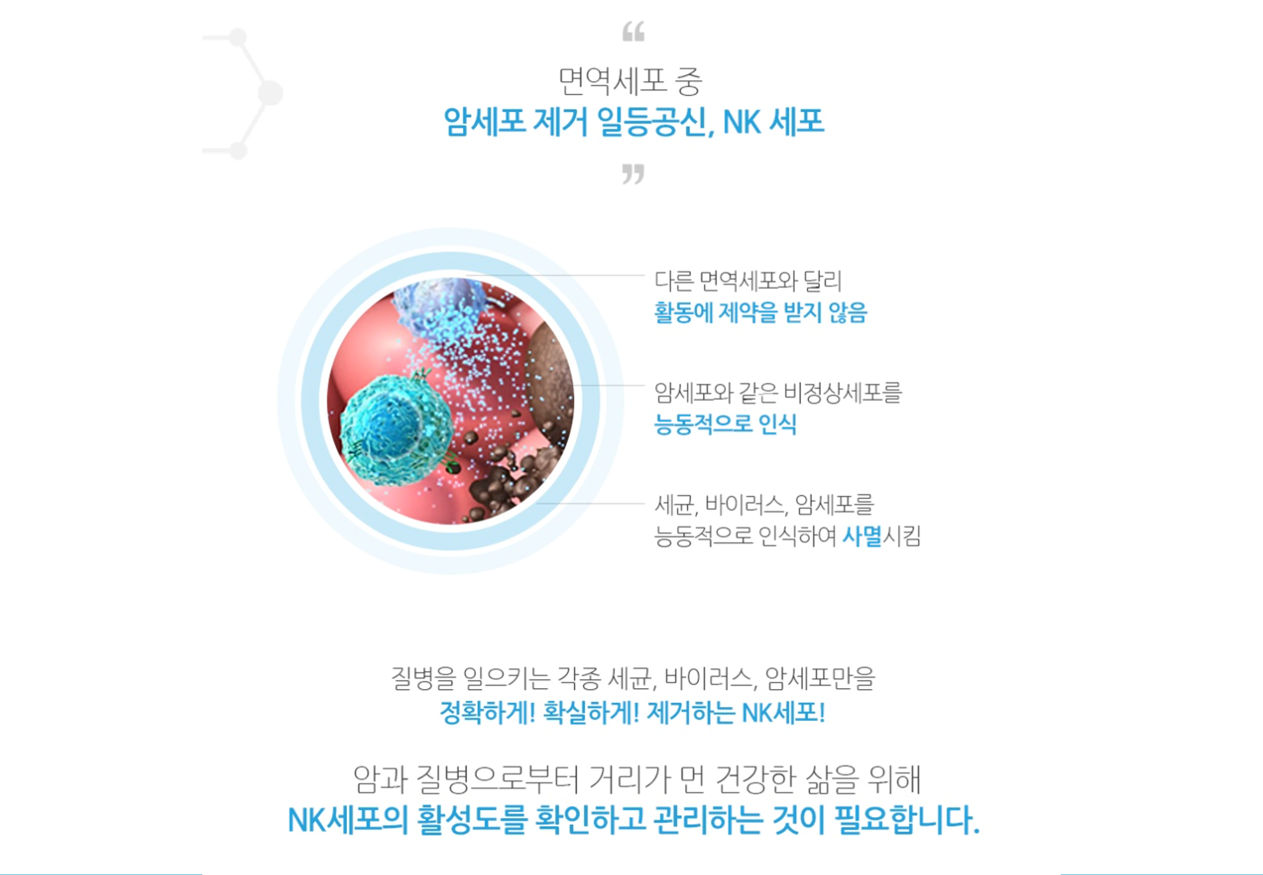 정기 구독 결제