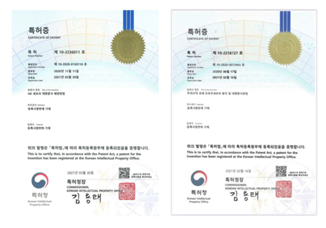 해외 카드 결제